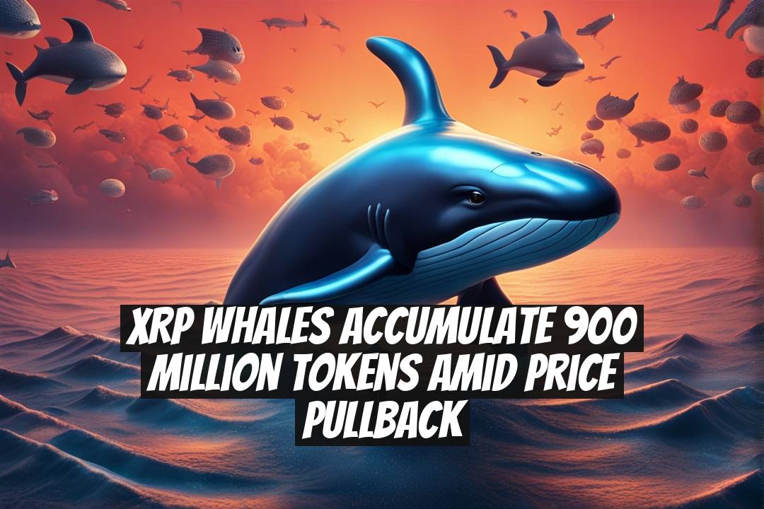 XRP Whales Accumulate 900 Million Tokens Amid Price Pullback