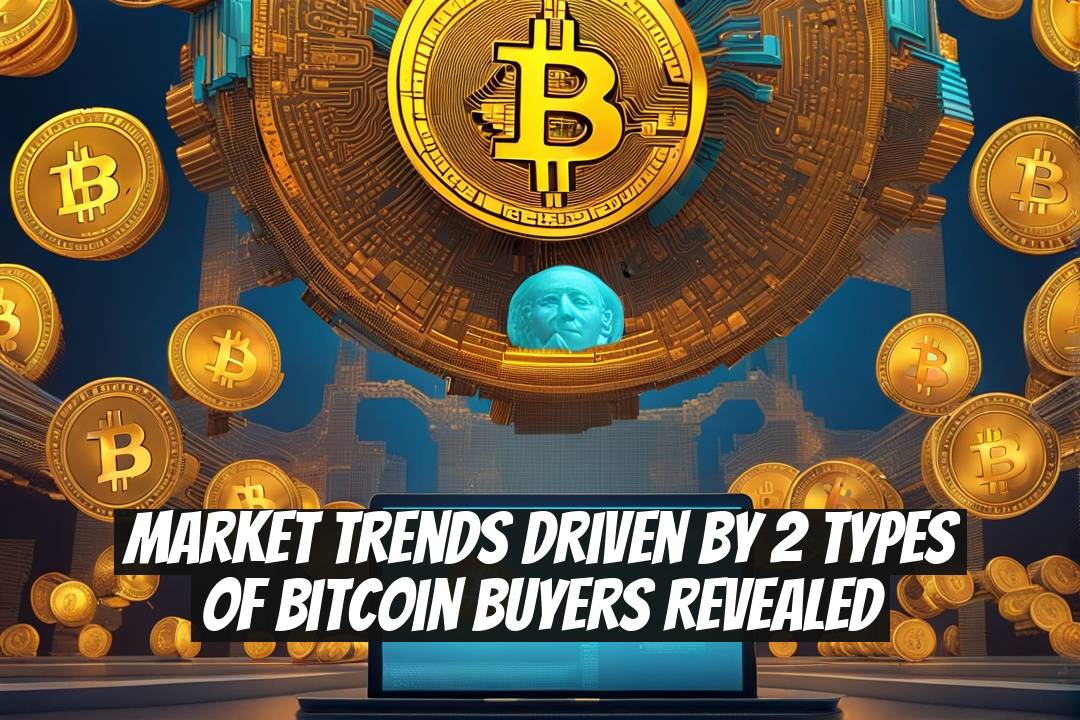 Market Trends Driven by 2 Types of Bitcoin Buyers Revealed