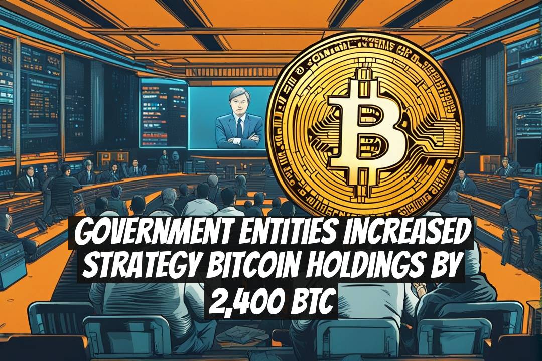 Government Entities Increased Strategy Bitcoin Holdings by 2,400 BTC