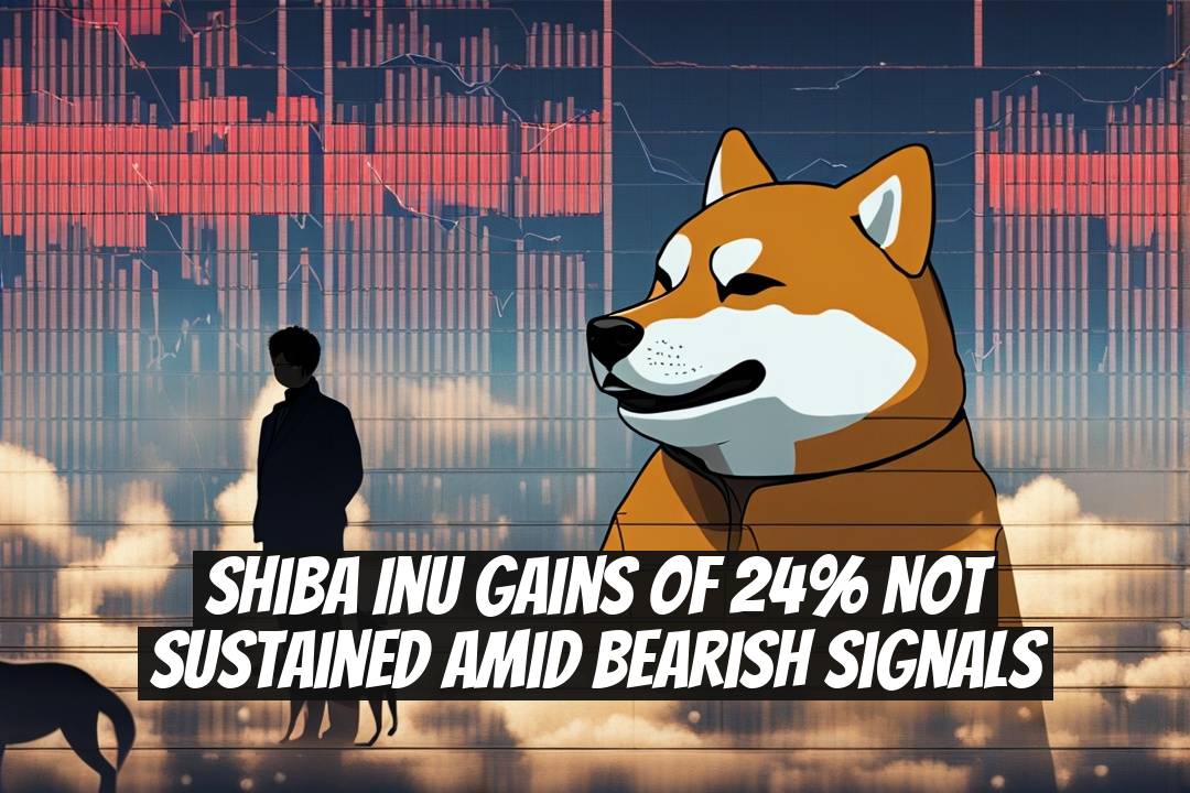 Shiba Inu Gains of 24% Not Sustained Amid Bearish Signals