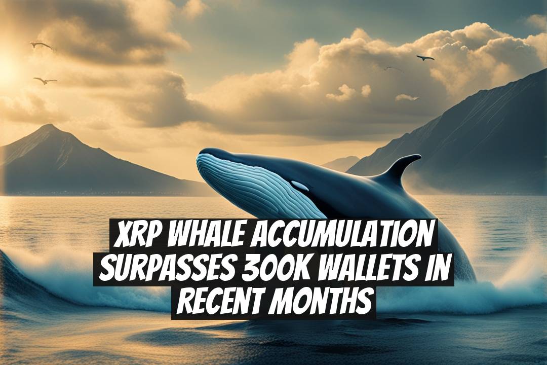 XRP Whale Accumulation Surpasses 300K Wallets in Recent Months