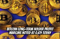 Bitcoin Long-Term Holder Profit Margins Noted at 0.69 Today