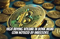 High Buying Volume in BONK Meme Coin Noticed by Investors