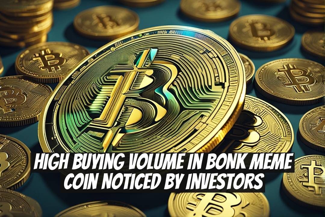 High Buying Volume in BONK Meme Coin Noticed by Investors