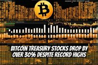 Bitcoin Treasury Stocks Drop by Over 30% Despite Record Highs