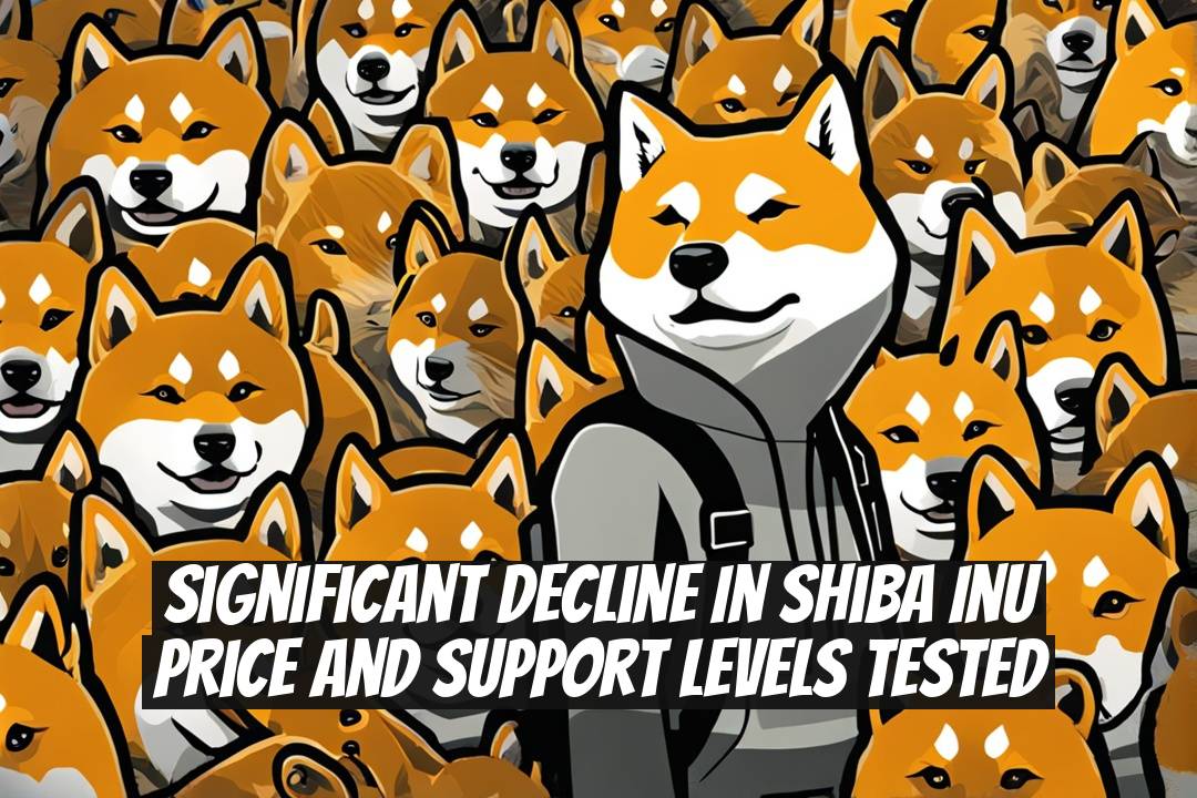 Significant Decline in Shiba Inu Price and Support Levels Tested
