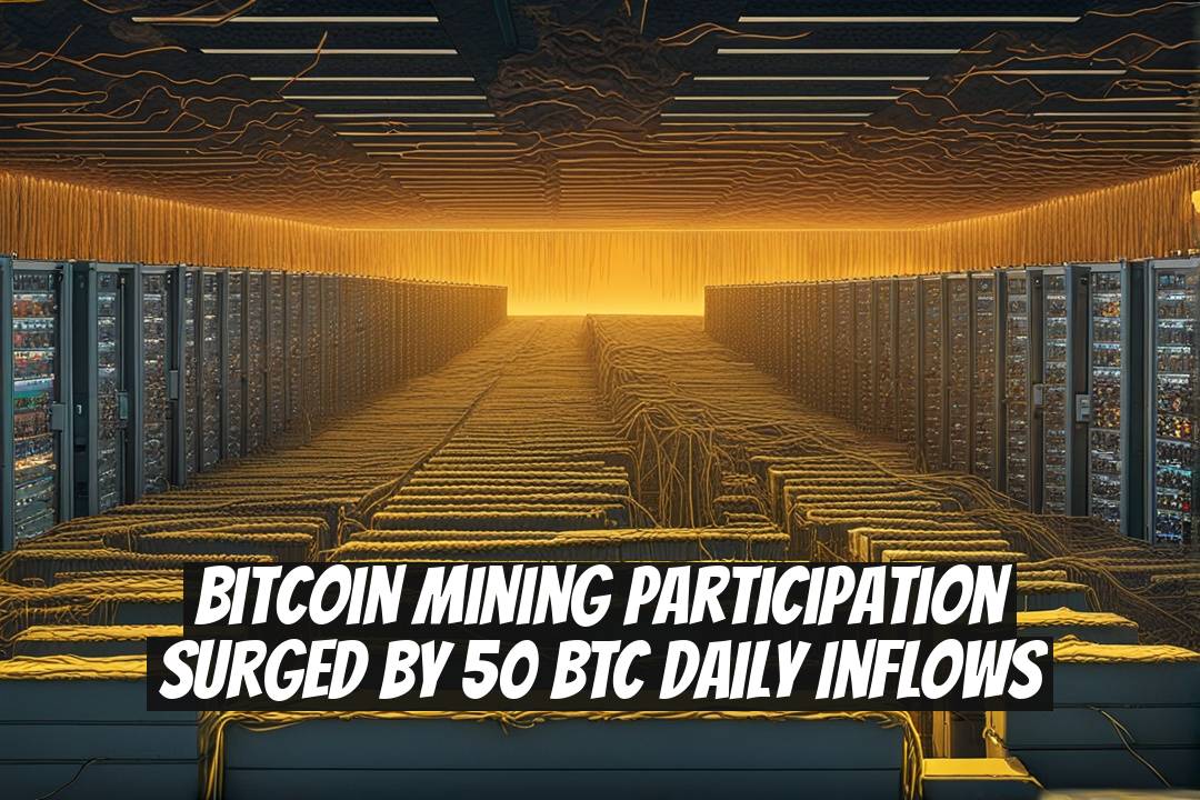 Bitcoin Mining Participation Surged by 50 BTC Daily Inflows