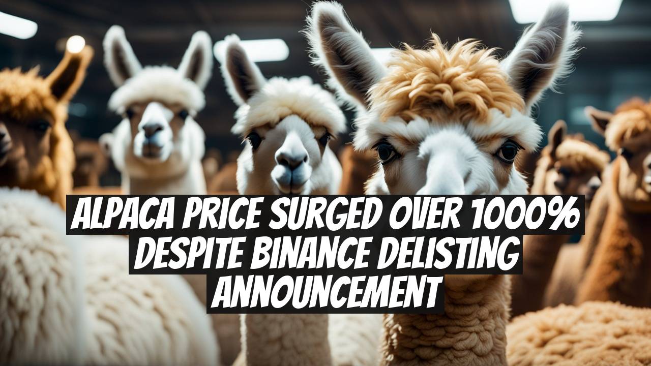 ALPACA Price Surged Over 1000% Despite Binance Delisting Announcement