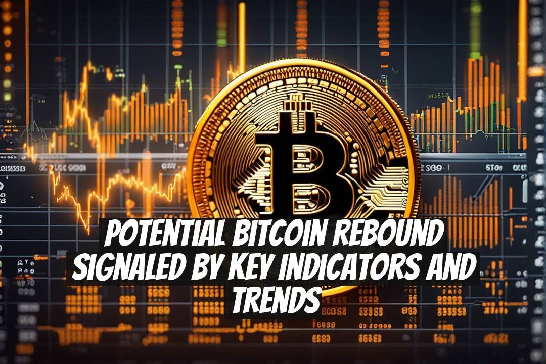 Potential Bitcoin Rebound Signaled by Key Indicators and Trends