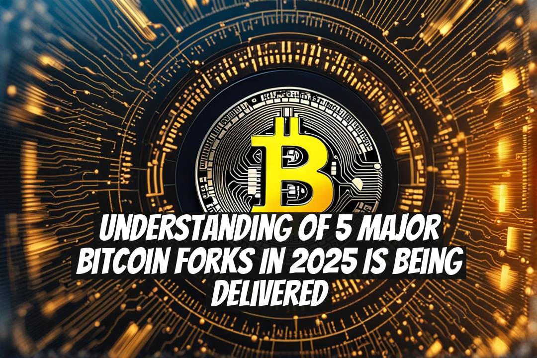 Understanding of 5 Major Bitcoin Forks in 2025 Is Being Delivered