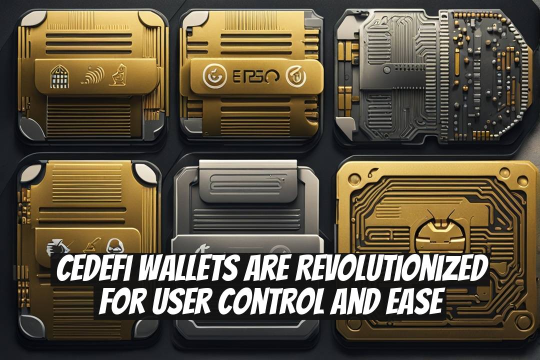 CeDeFi Wallets Are Revolutionized for User Control and Ease