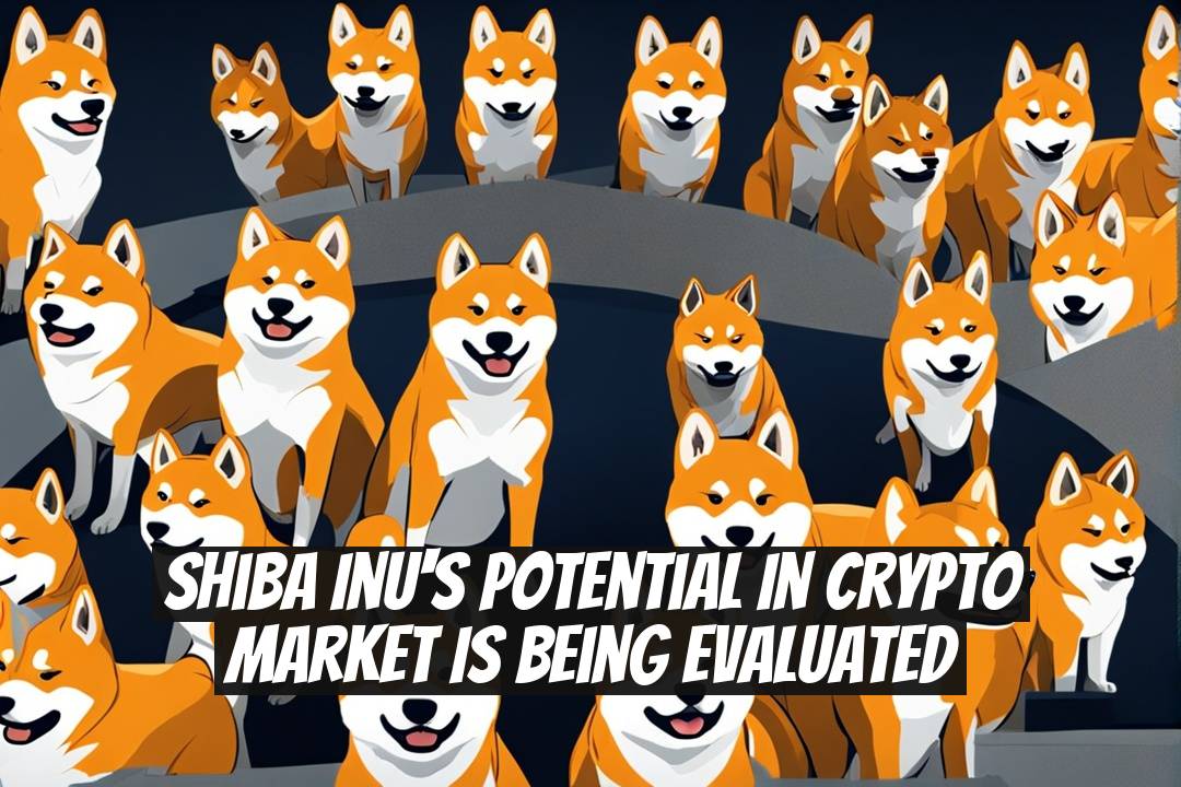 Shiba Inu's Potential in Crypto Market is Being Evaluated