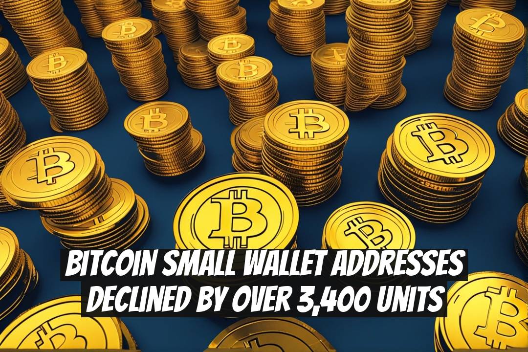 Bitcoin Small Wallet Addresses Declined by Over 3,400 Units