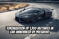 Tokenization of 1,700 Hectares in CAR Announced by President