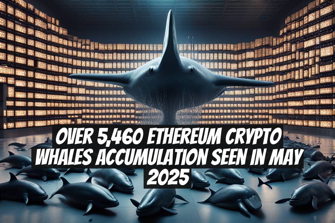 Over 5,460 Ethereum Crypto Whales Accumulation Seen in May 2025