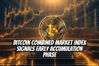 Bitcoin Combined Market Index Signals Early Accumulation Phase