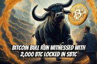 Bitcoin Bull Run Witnessed with 2,000 BTC Locked in sBTC