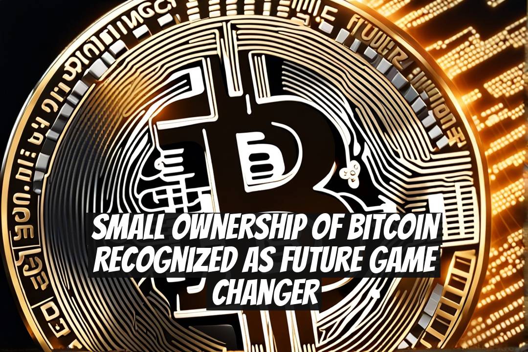 Small Ownership of Bitcoin Recognized as Future Game Changer