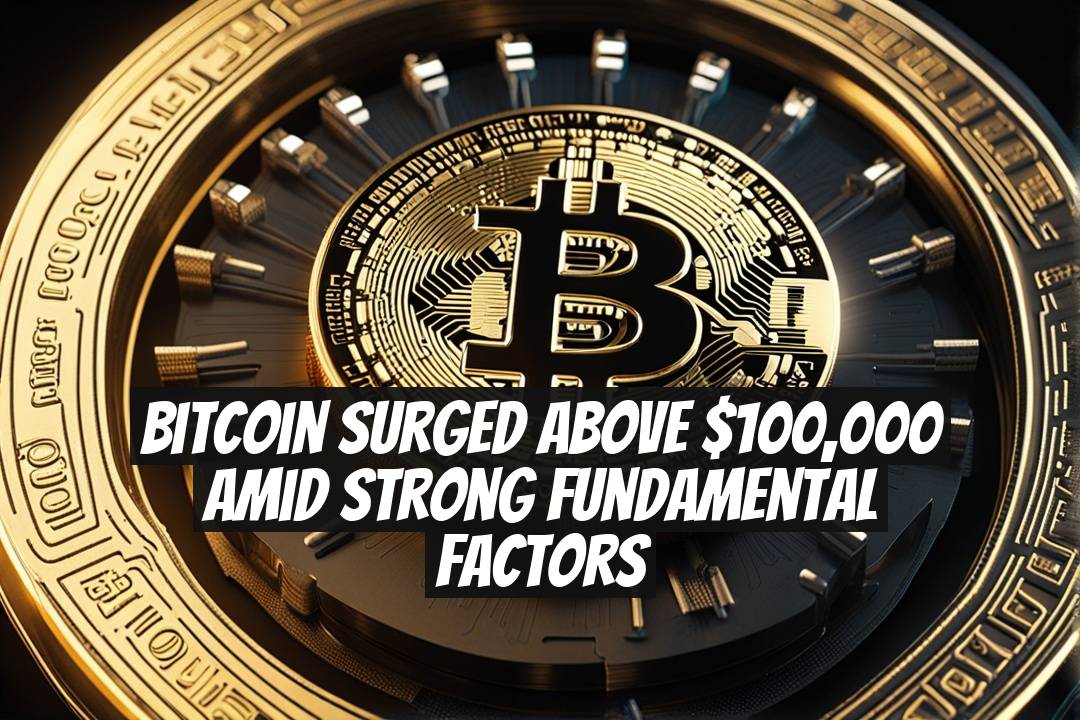 Bitcoin Surged Above $100,000 Amid Strong Fundamental Factors