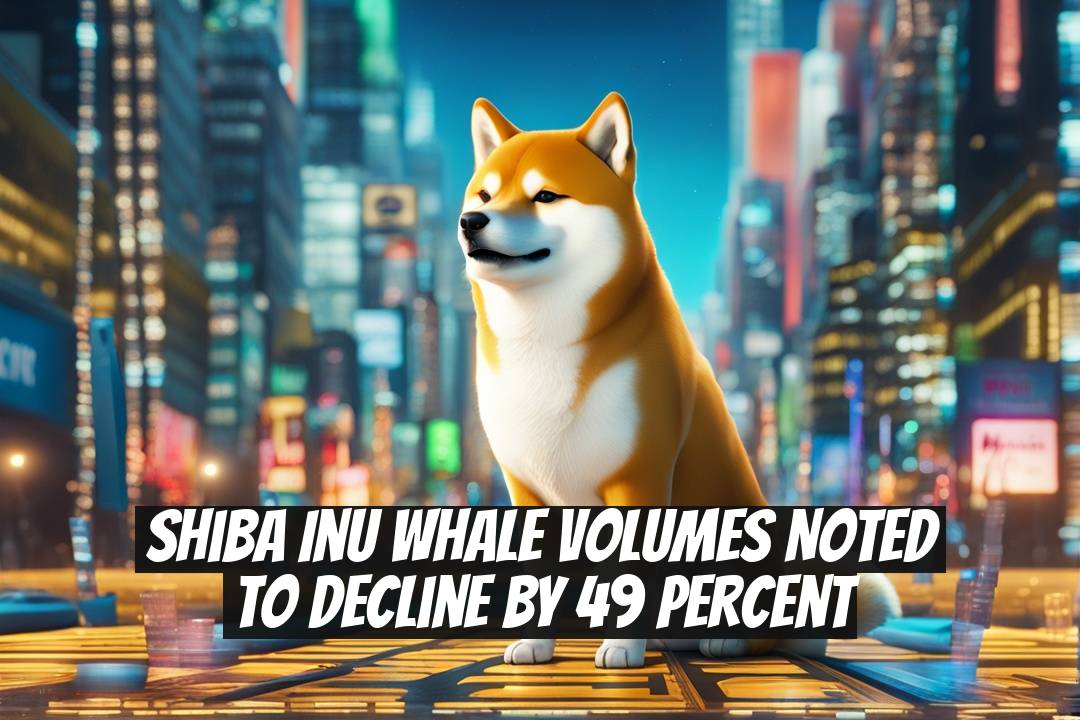 Shiba Inu Whale Volumes Noted to Decline by 49 Percent