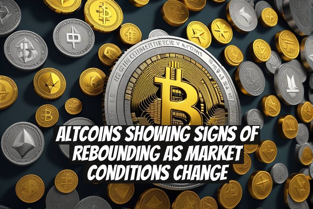 Altcoins Showing Signs of Rebounding as Market Conditions Change