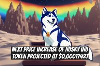 Next Price Increase of Husky Inu Token Projected at $0.00017427