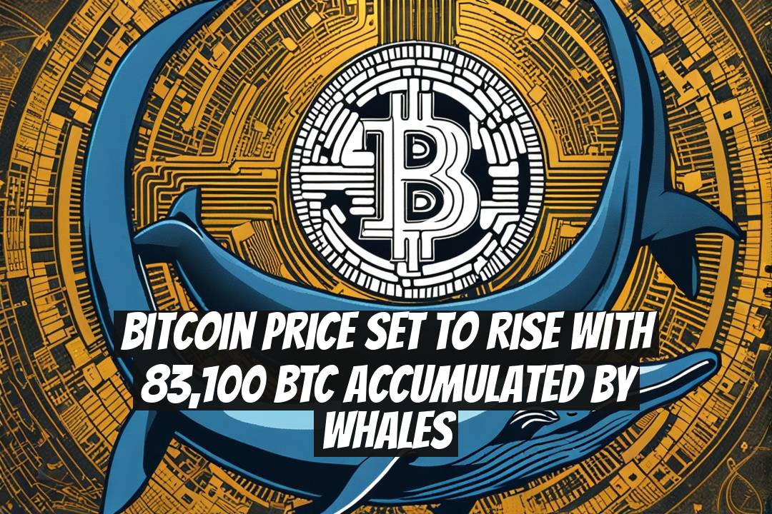 Bitcoin Price Set to Rise with 83,100 BTC Accumulated by Whales