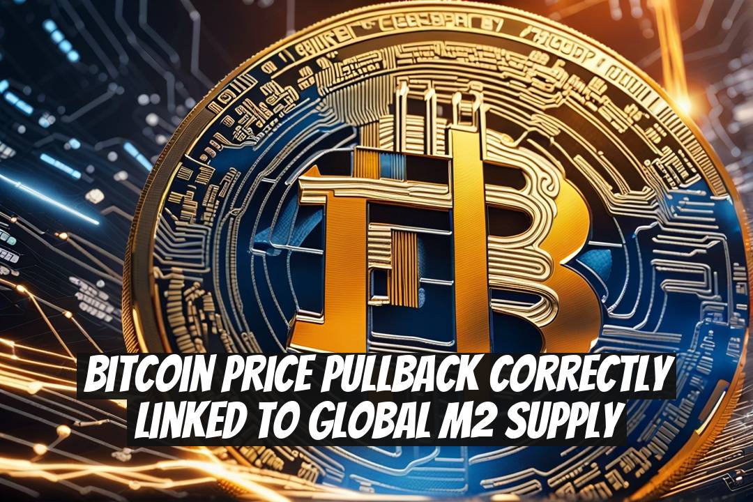 Bitcoin Price Pullback Correctly Linked to Global M2 Supply