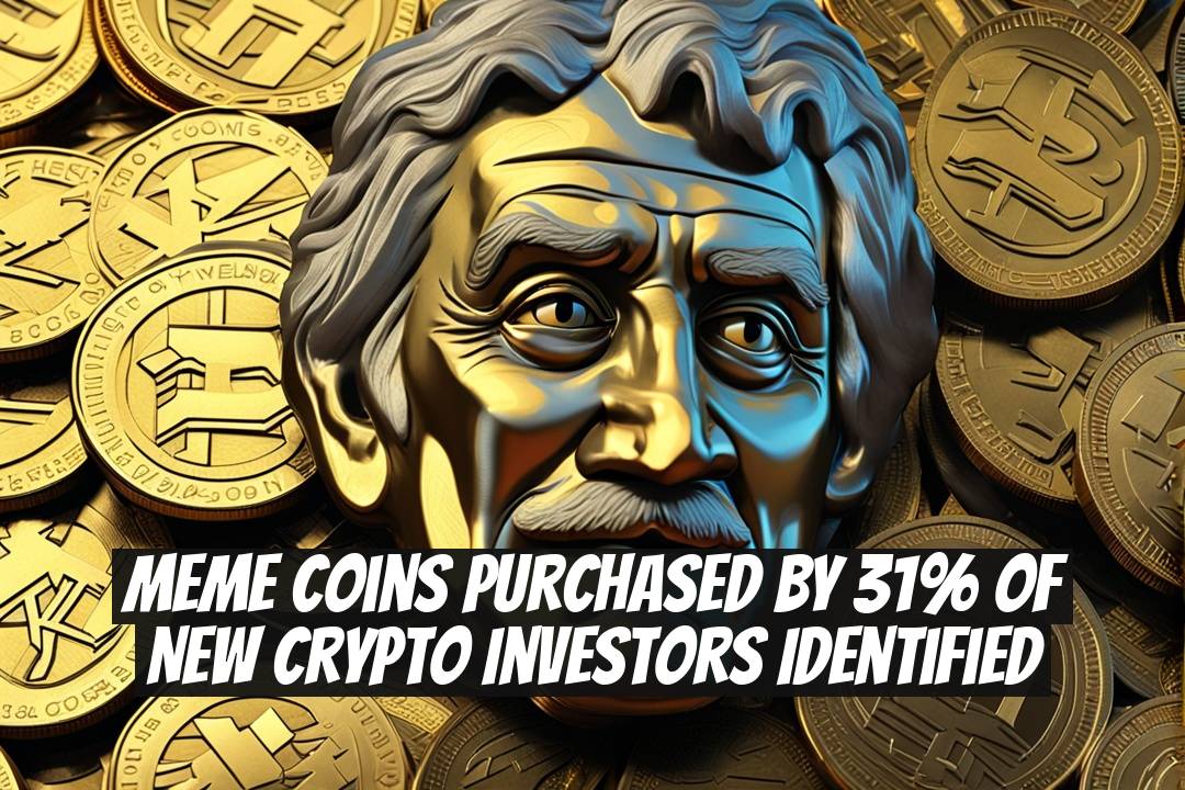 Meme Coins Purchased by 31% of New Crypto Investors Identified