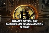 Bitcoin's Support and Accumulation Signals Observed in Trend