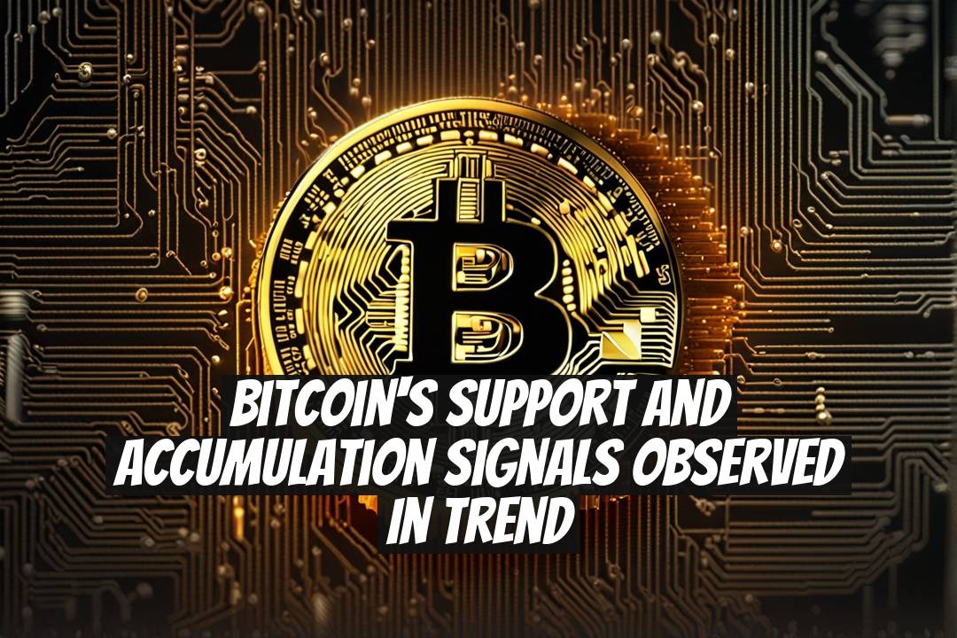 Bitcoin's Support and Accumulation Signals Observed in Trend
