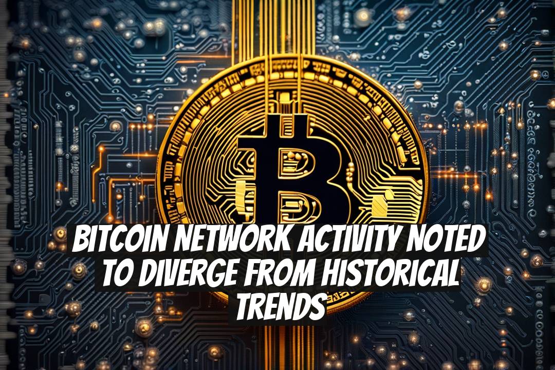 Bitcoin Network Activity Noted to Diverge From Historical Trends