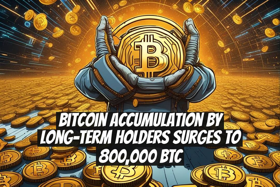 Bitcoin Accumulation by Long-Term Holders Surges to 800,000 BTC
