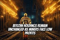 Bitcoin Holdings Remain Unchanged as Miners Face Low Profits