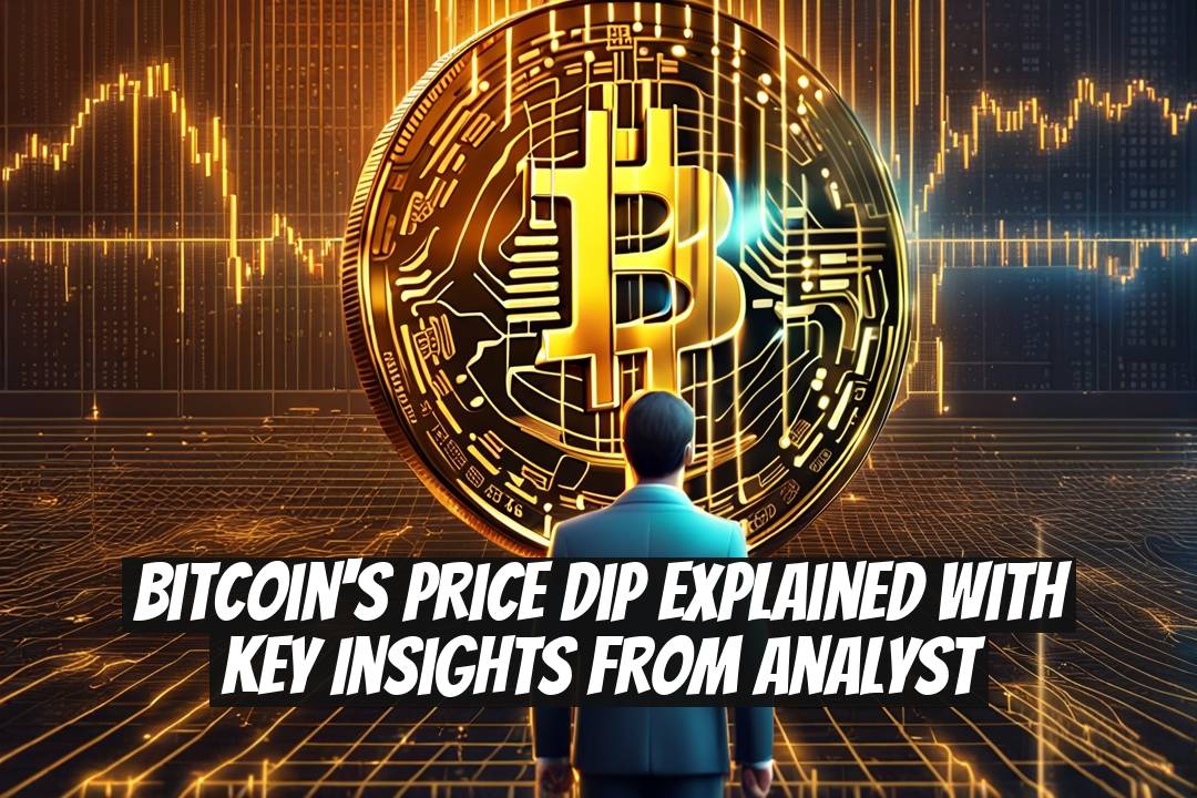 Bitcoin's Price Dip Explained with Key Insights from Analyst