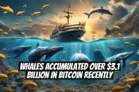 Whales Accumulated Over $3.1 Billion in Bitcoin Recently