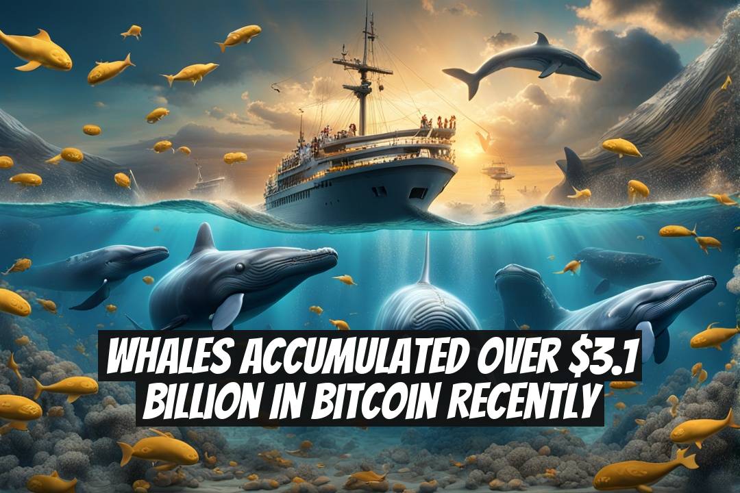 Whales Accumulated Over $3.1 Billion in Bitcoin Recently