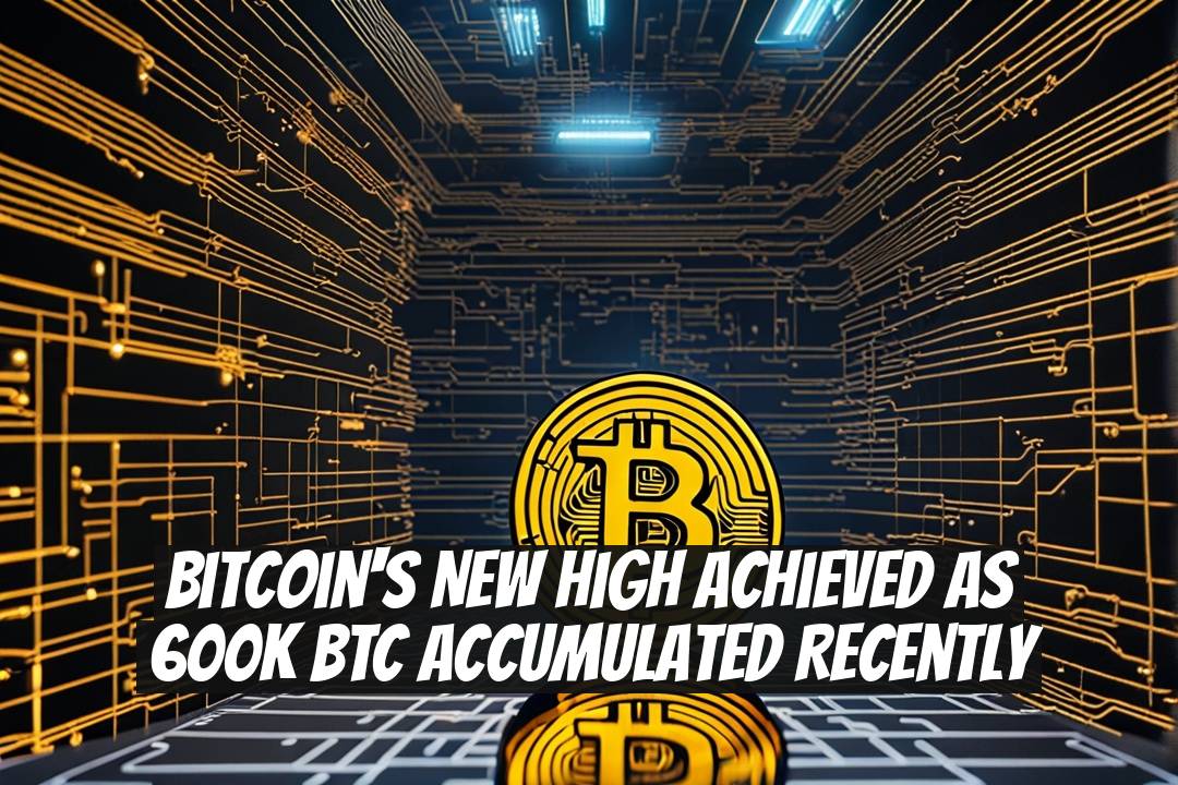 Bitcoin's New High Achieved as 600K BTC Accumulated Recently