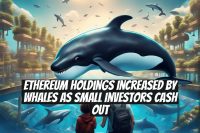 Ethereum Holdings Increased by Whales as Small Investors Cash Out