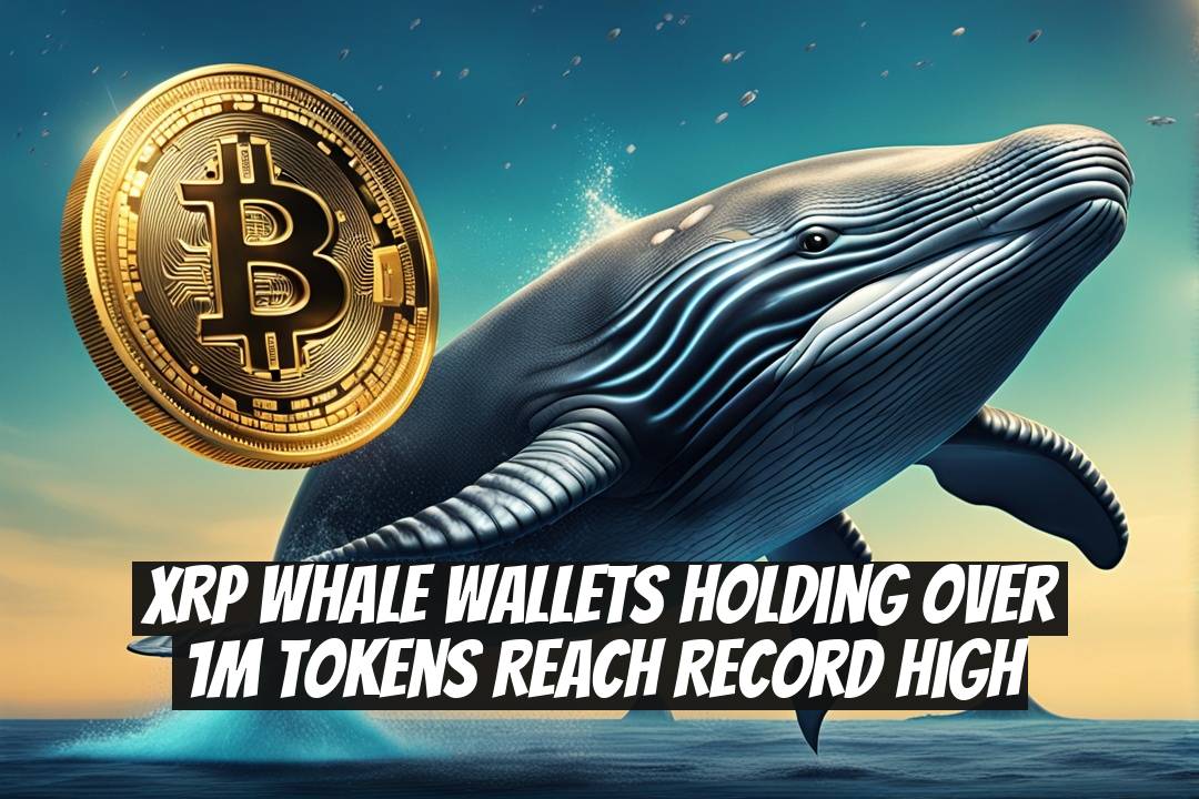 XRP Whale Wallets Holding Over 1M Tokens Reach Record High