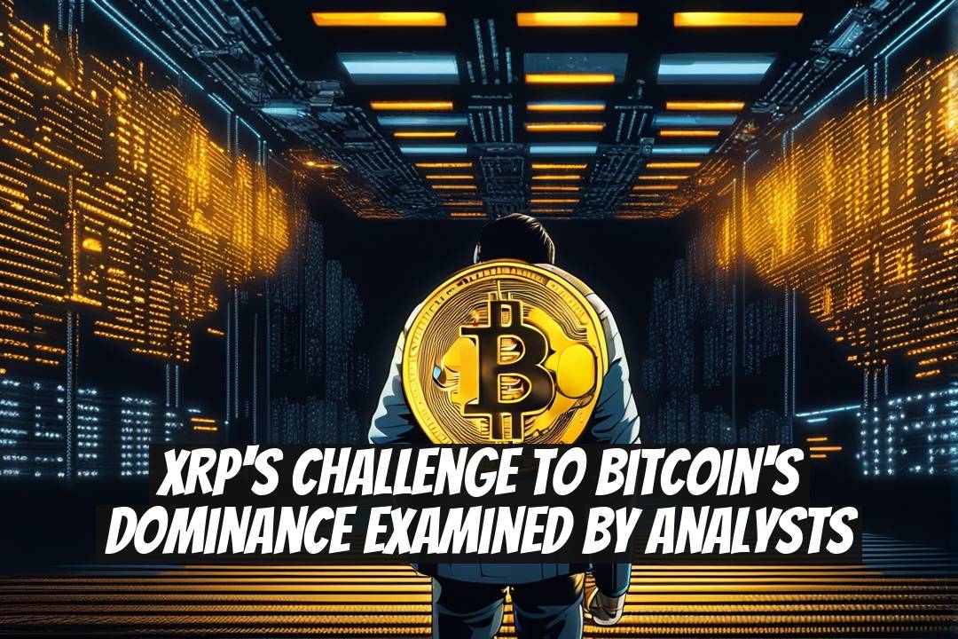 XRP's Challenge to Bitcoin's Dominance Examined by Analysts