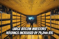 Large Bitcoin Investors' Holdings Increased by 79,244 BTC