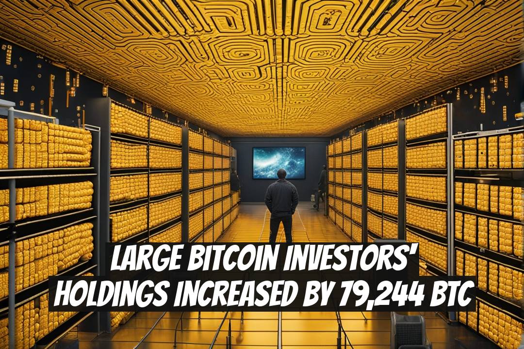 Large Bitcoin Investors' Holdings Increased by 79,244 BTC