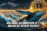 New Whale Accumulation of 1.1 Million BTC Noticed Recently