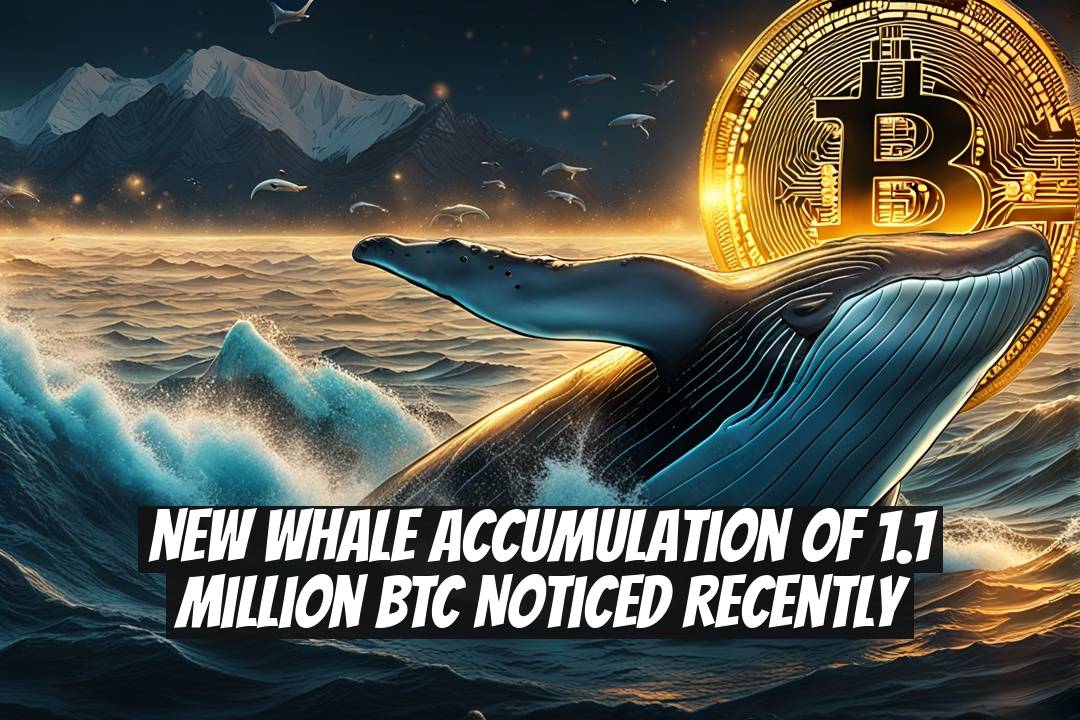 New Whale Accumulation of 1.1 Million BTC Noticed Recently