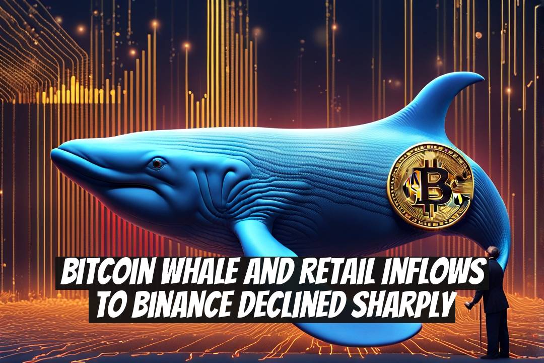 Bitcoin Whale and Retail Inflows to Binance Declined Sharply