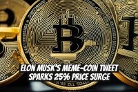 Elon Musk's Meme-Coin Tweet Sparks 25% Price Surge
