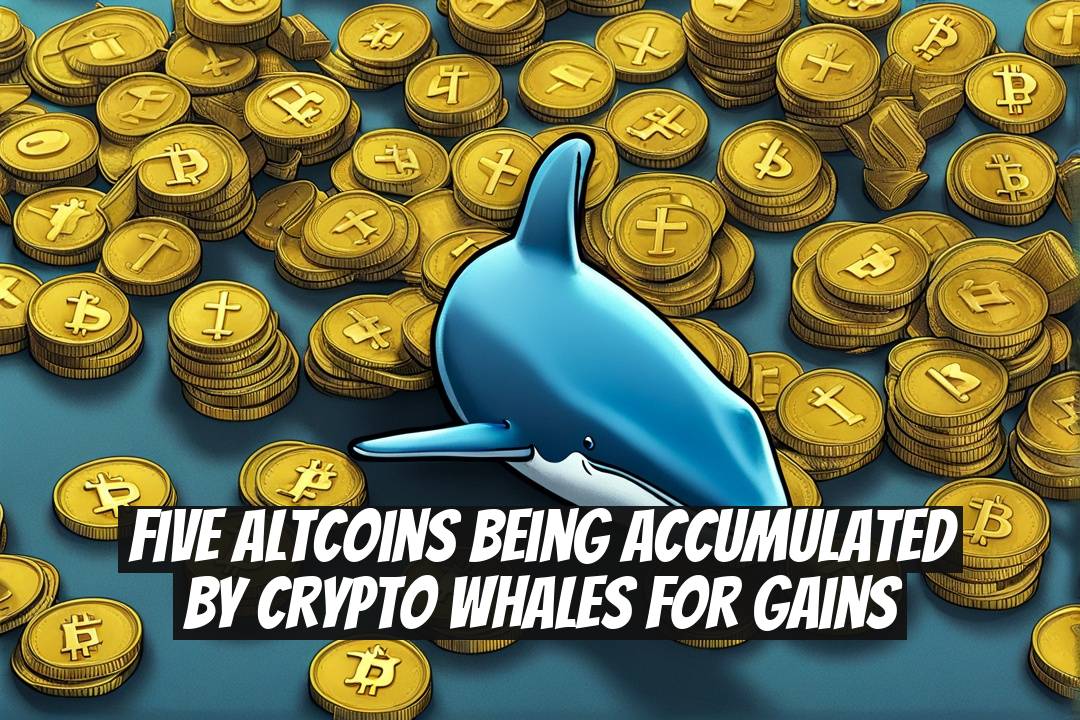 Five Altcoins Being Accumulated by Crypto Whales for Gains
