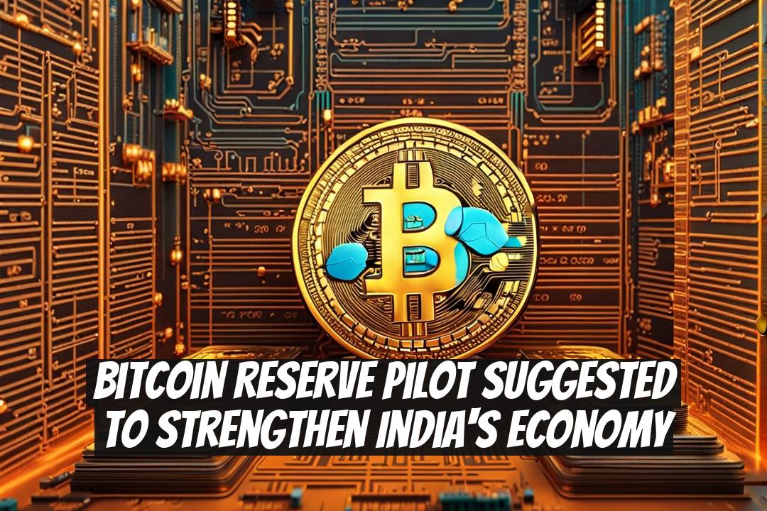 Bitcoin Reserve Pilot Suggested to Strengthen India's Economy