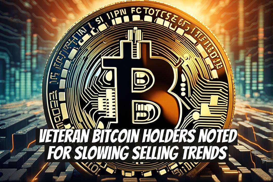 Veteran Bitcoin Holders Noted for Slowing Selling Trends